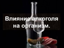 030011_966590_b.jpg